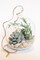 Lovely Whimsical Glass Terrarium with Artificial Succulents and Plants in Light Greens and Blue Tones product 6